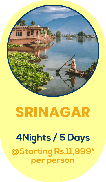 srinagar-package
